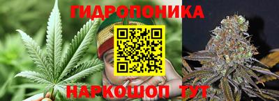 соль ск Гай