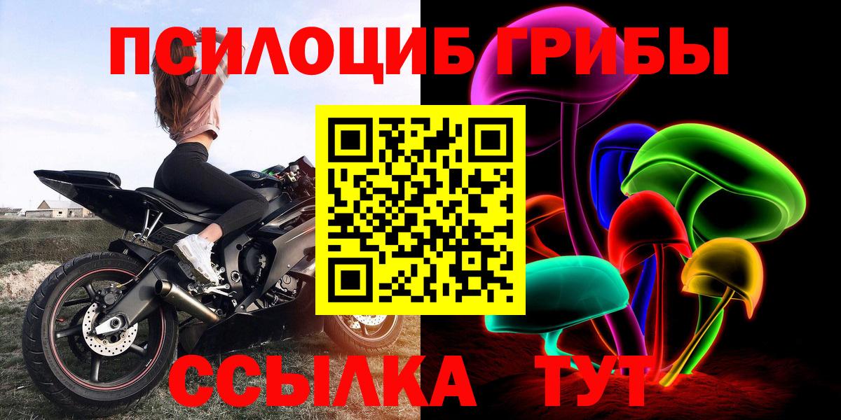 Галлюциногенные грибы Гуково
