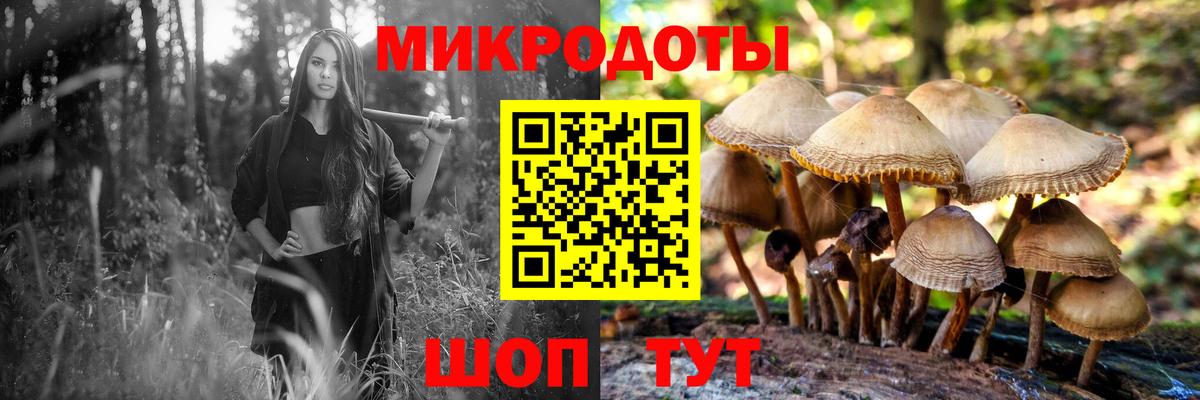 Галлюциногенные грибы Cubensis  Вход с VPN  Гуково  Псилоцибиновые грибы Cubensis 